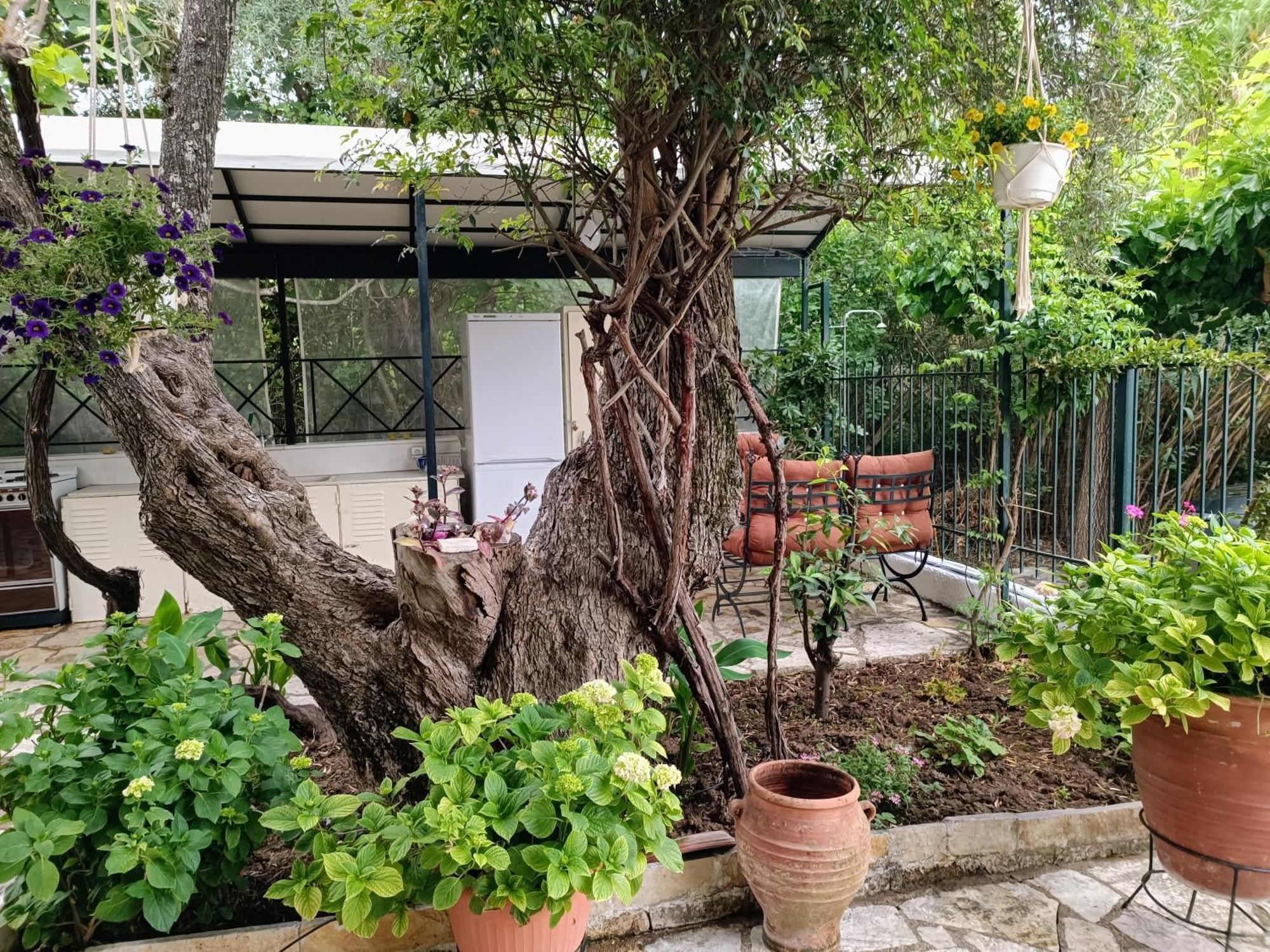 Casa Trizoni Nikiana Appartement Buitenkant foto
